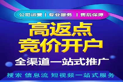竞价端口开户后的广告投放策略案例